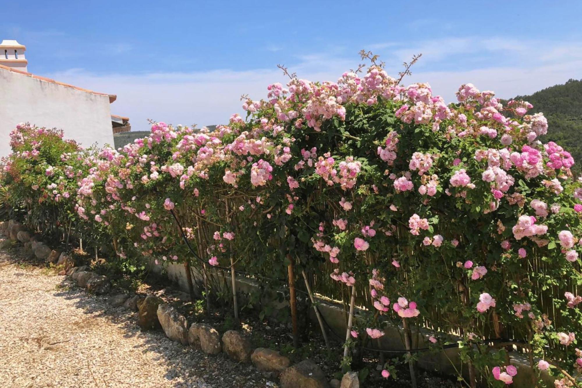 Casas Da Tia Alice - Casas De Campo Encantadoras Em Mafra Exterior foto